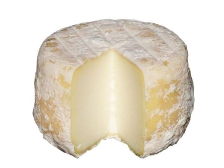 CHEESE CROTTIN CHAVIGNOL 60G For Cheap