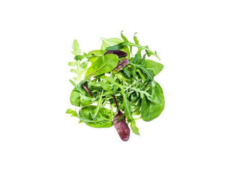 BABY MESCLUN BQ ESPAGNE 125GR Fashion