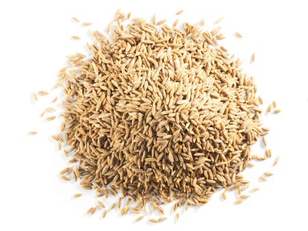 WHOLE CUMIN 1000G Hot on Sale