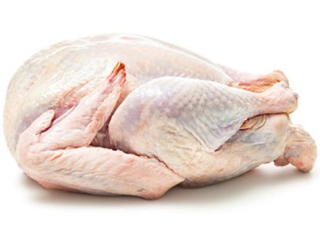 WHOLE GOOSE FROZEN  AVG 4.6KG   KG Online Hot Sale