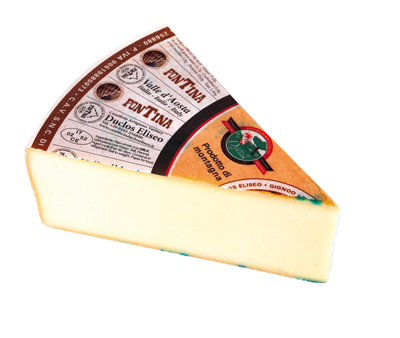 CHEESE FONTINA  KG For Discount