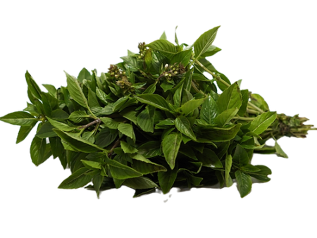 BASIL 150GR Cheap